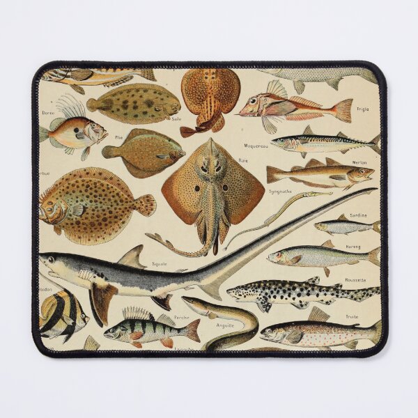 Item preview, Poissons Pour Tous - Adolphe Millot designed and sold by starrylite.