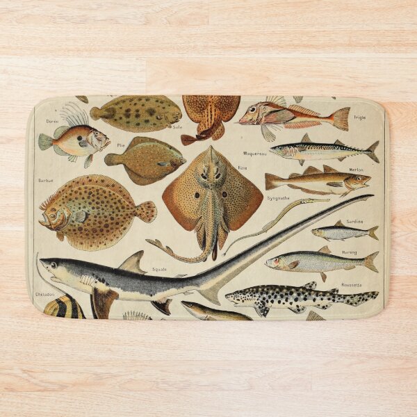Item preview, Poissons Pour Tous - Adolphe Millot designed and sold by starrylite.