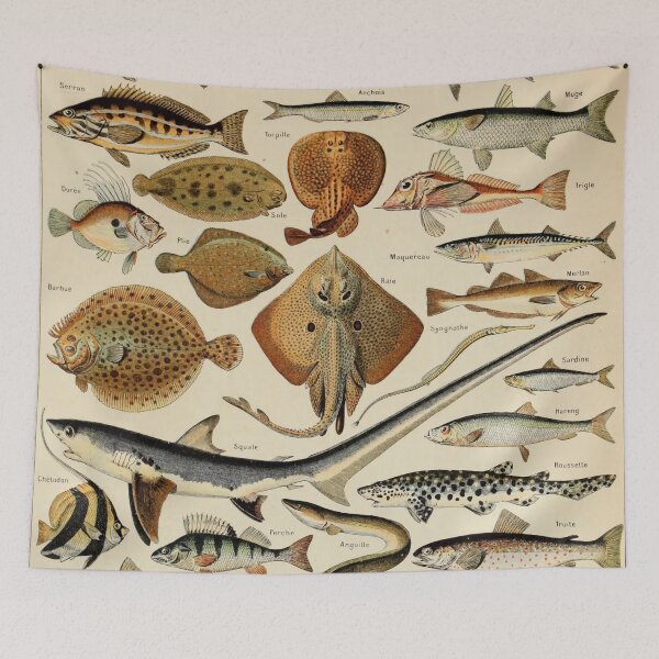 Item preview, Poissons Pour Tous - Adolphe Millot designed and sold by starrylite.