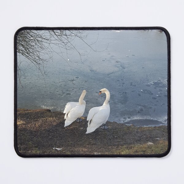 Item preview, majestis swans in winter designed and sold by barbich.