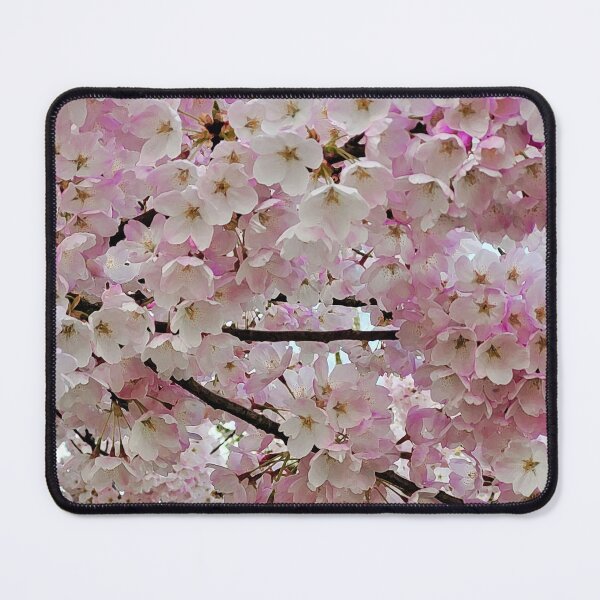 Item preview, Elegant cherry blossoms designed and sold by perlphoto.