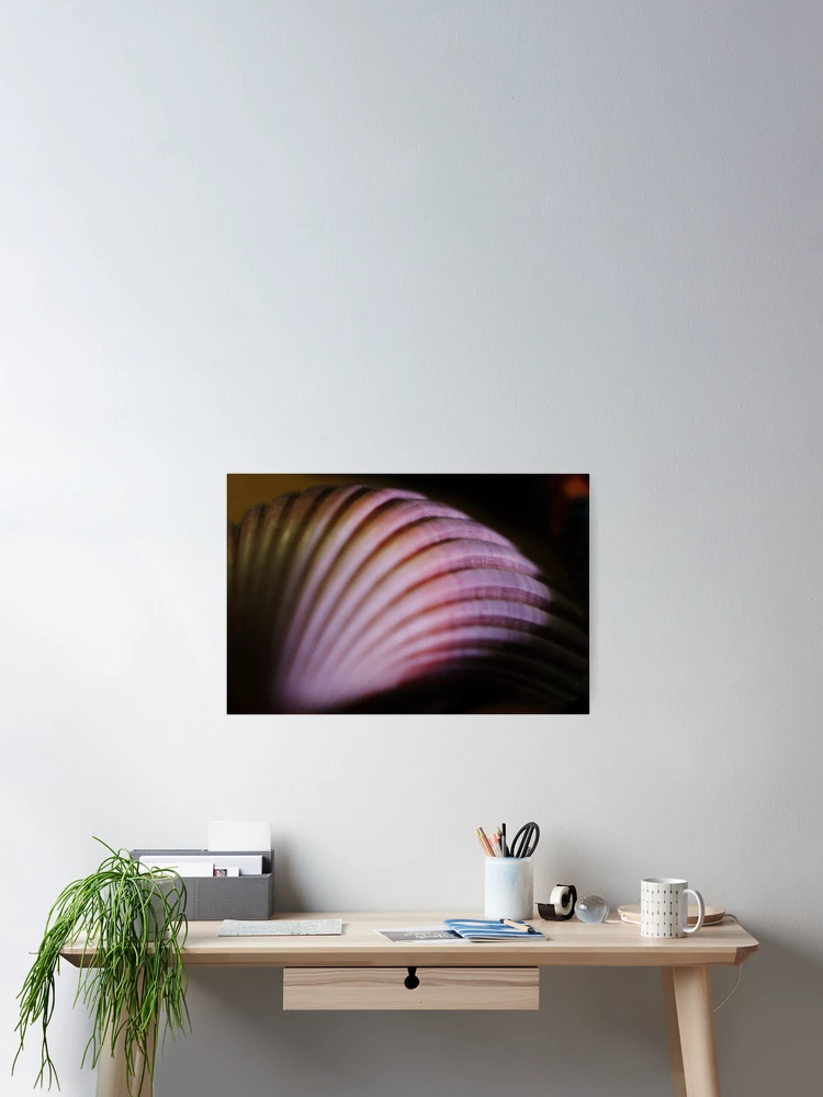 Thumbnail 2 of 3, Poster, Shell designed and sold by Liz Worth.