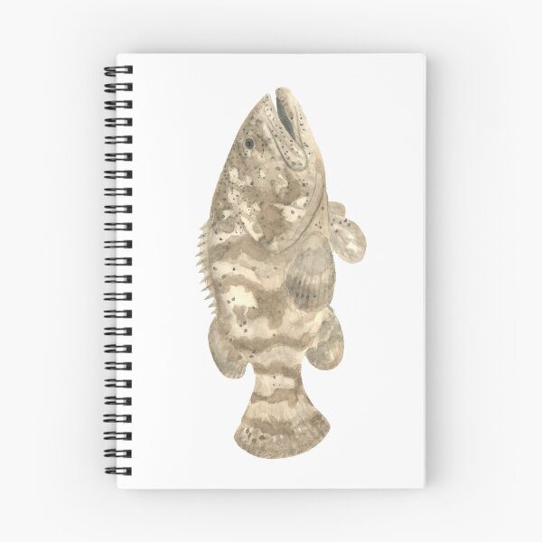 Item preview, Goliath Grouper designed and sold by naturebylyd.