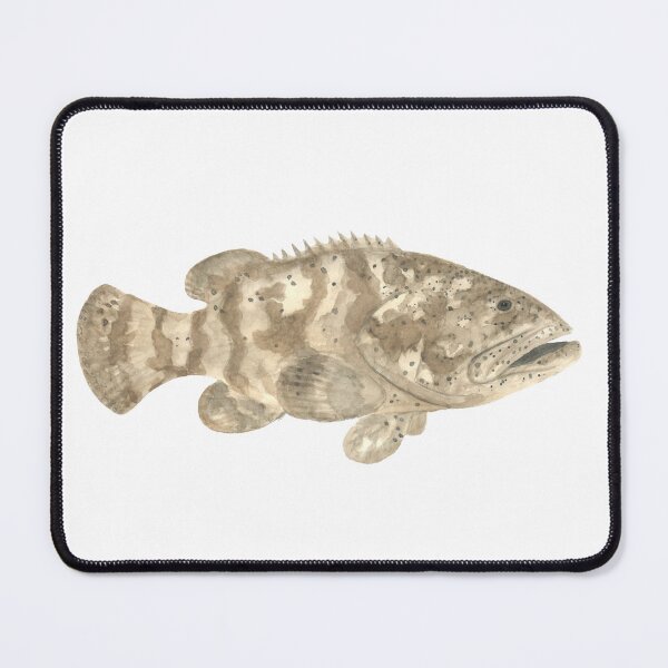 Item preview, Goliath Grouper designed and sold by naturebylyd.