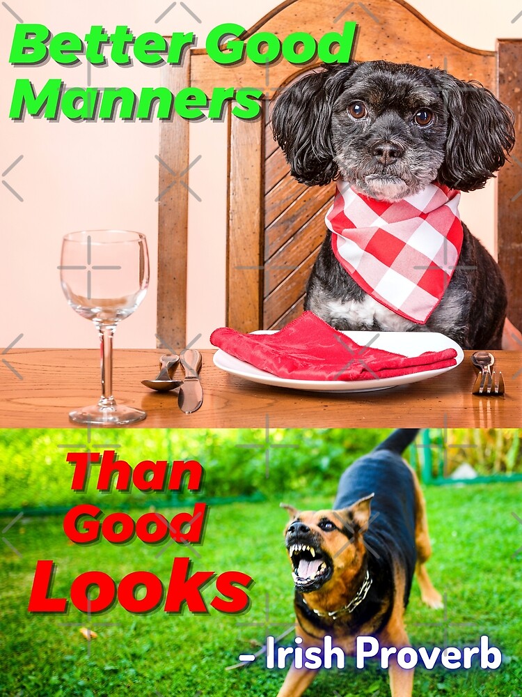 Better good manners than good looks. - Proverb