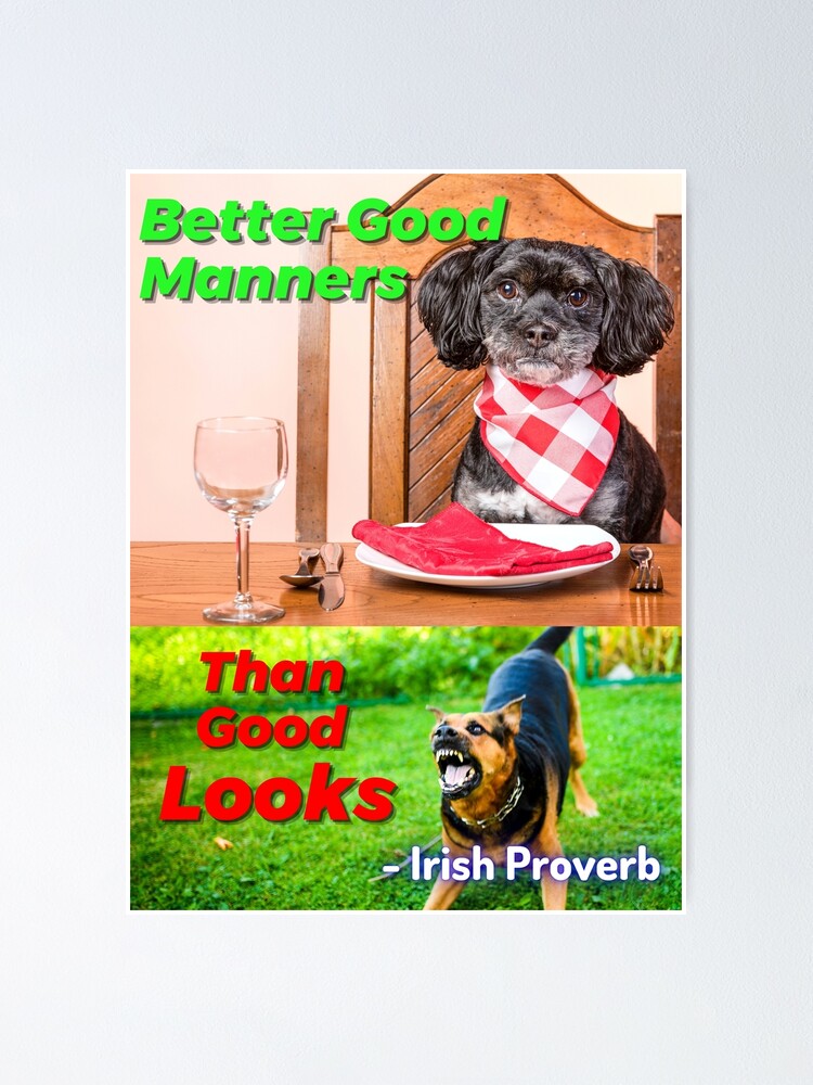 Irish Proverb - Better good manners than good looks.