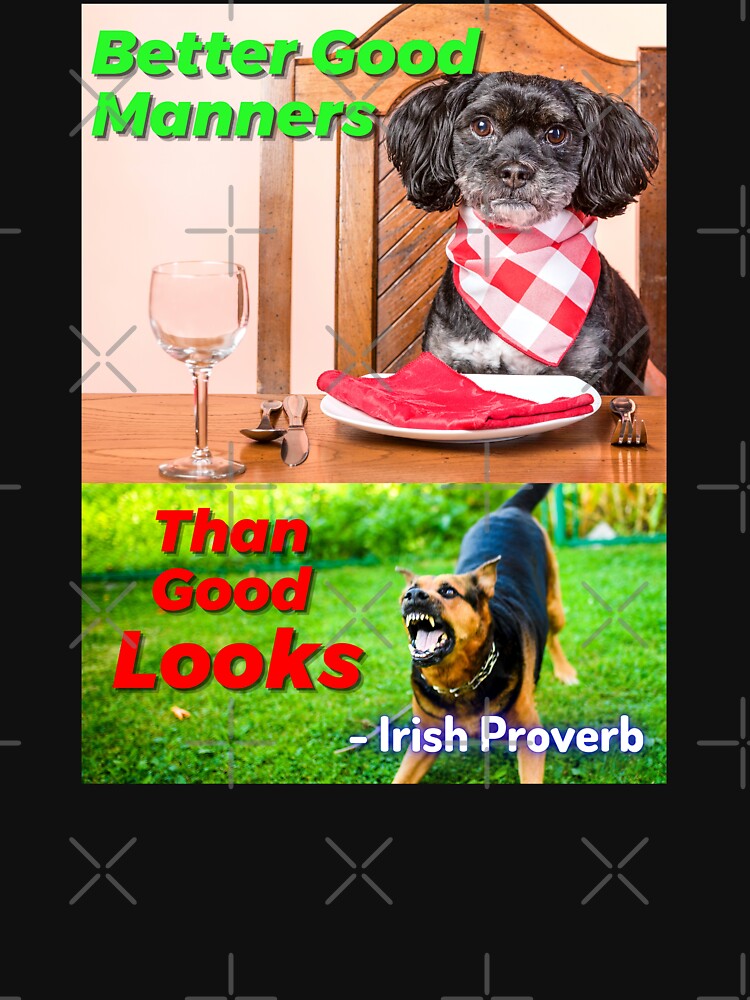 Irish Proverb - Better good manners than good looks.