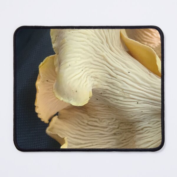 Item preview, Yellow Chanterelle underside, closeup designed and sold by jeannius.