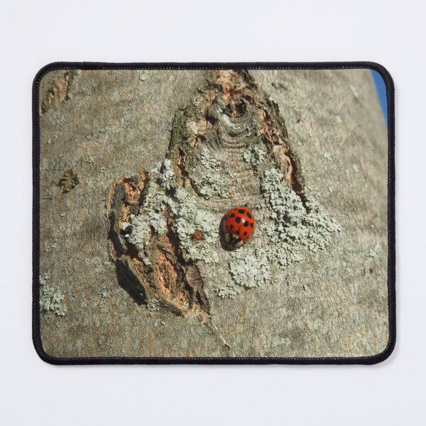 Item preview, Cute as a Lady Bug designed and sold by SillaHoekstra.