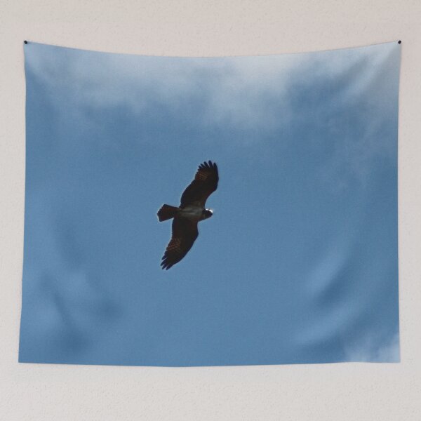 Item preview, OSPREY 2 designed and sold by BOLLA67.