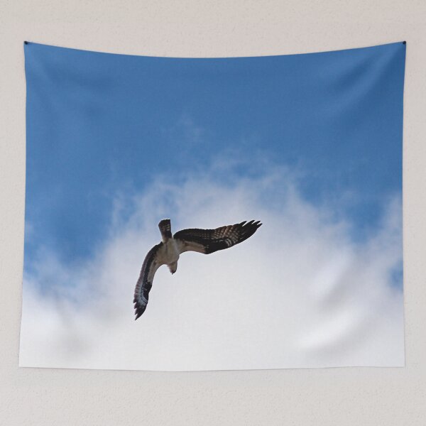 Item preview, OSPREY 1 designed and sold by BOLLA67.