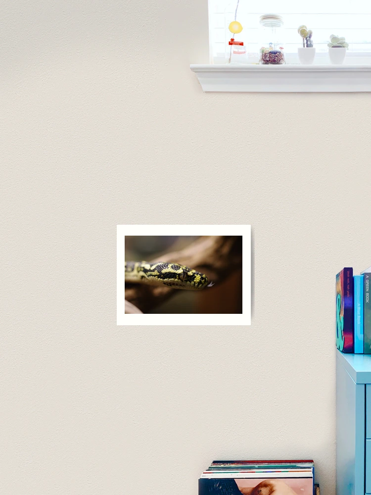 Thumbnail 2 of 3, Art Print, Diamond Python designed and sold by Liz Worth.