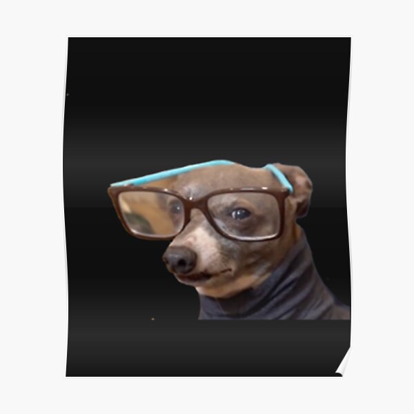 "Jenna Marbles_ dog Kermit wearing glasses " Poster for Sale by