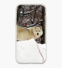 Arctic Wolf Pondering iPhone Case