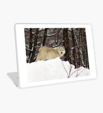 Arctic Wolf Pondering Laptop Skin