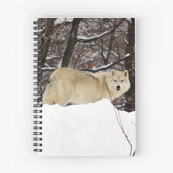 Item preview, Arctic Wolf Pondering designed and sold by vette.
