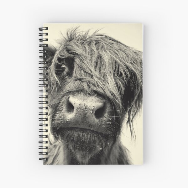 Highland Cow Spiral Notebook