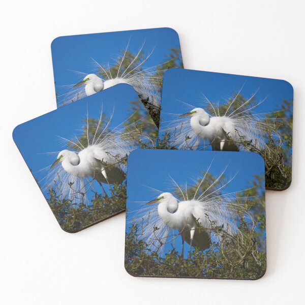 Item preview, Great Egret Feather Display designed and sold by richardbryce.