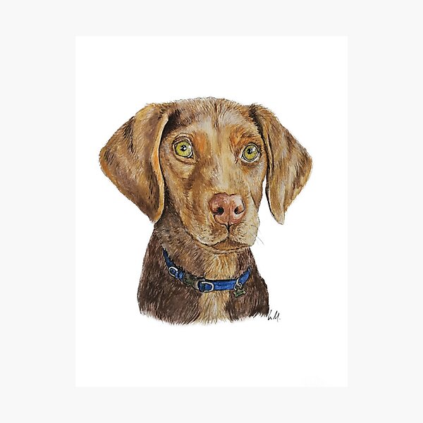 Item preview, Puppy Pawtrait designed and sold by liwhannah-art.