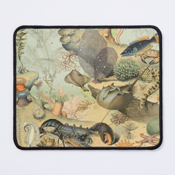 Item preview, Ocean B - Adolphe Millot designed and sold by starrylite.
