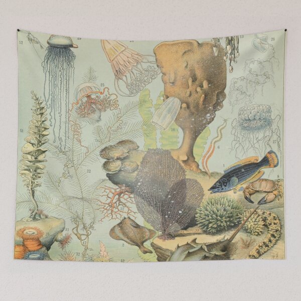 Item preview, Ocean B - Adolphe Millot designed and sold by starrylite.