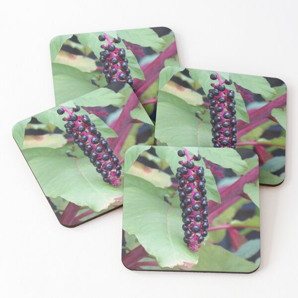 Item preview, Black pokeweed berries designed and sold by greentiger1.