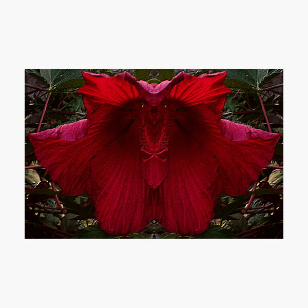 Item preview, Red Flower designed and sold by Tammy Soulliere Ratliff.