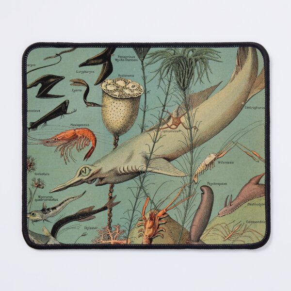 Item preview,  Oceanographie Pour Tous - Adolphe Millot designed and sold by starrylite.