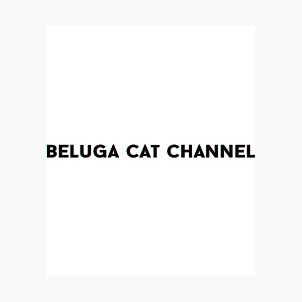 Beluga Cat Channel   Photographic Print
