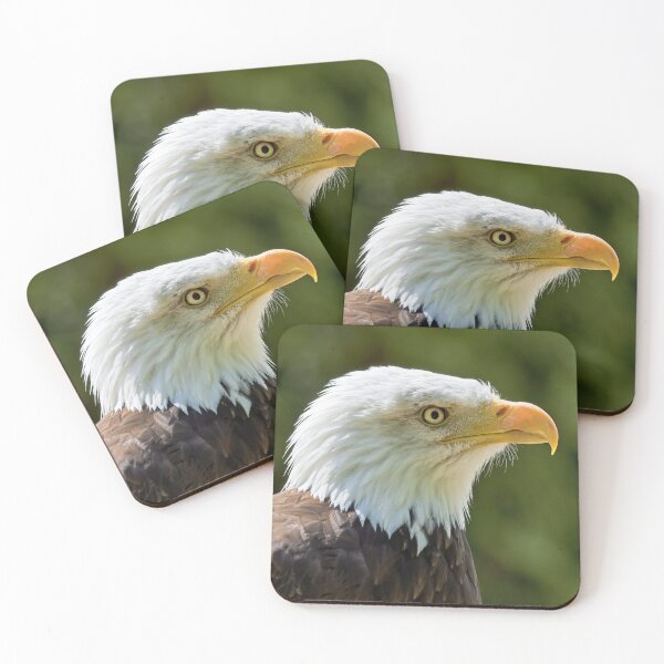 Item preview, Bald Eagle (Haliaeetus leucocephalus)  designed and sold by Andy Harker.