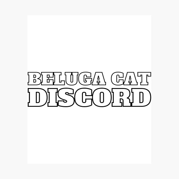 Beluga Cat Discord Photographic Print
