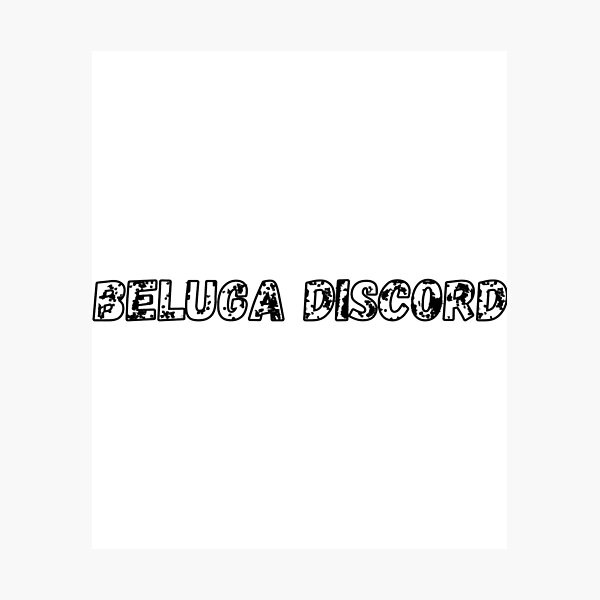 Beluga Discord       Photographic Print