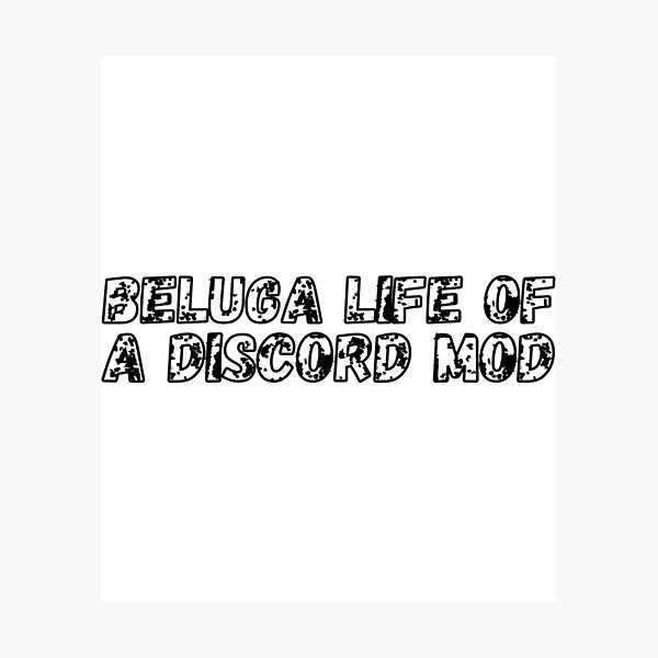 Beluga Life Of A Discord Mod Photographic Print