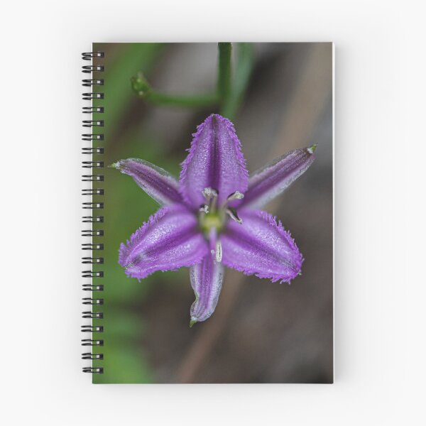 Item preview, Fringe Lily designed and sold by Alyssa Cronk.