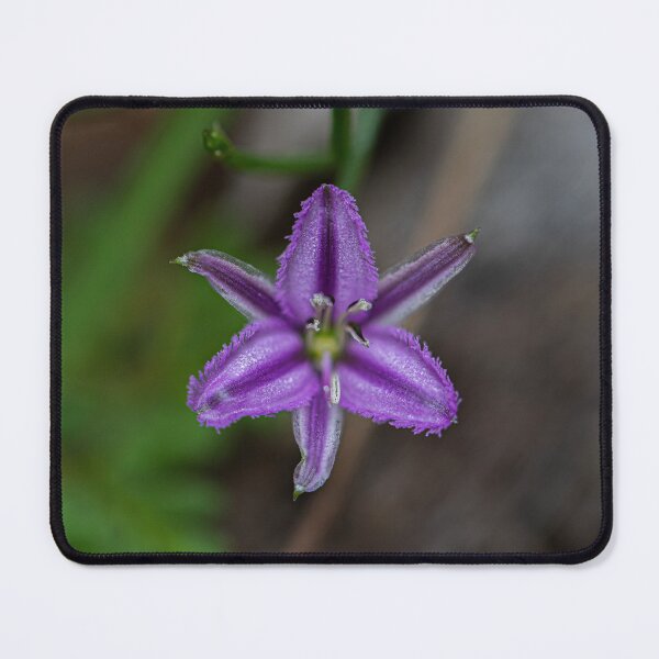 Item preview, Fringe Lily designed and sold by Alyssa Cronk.