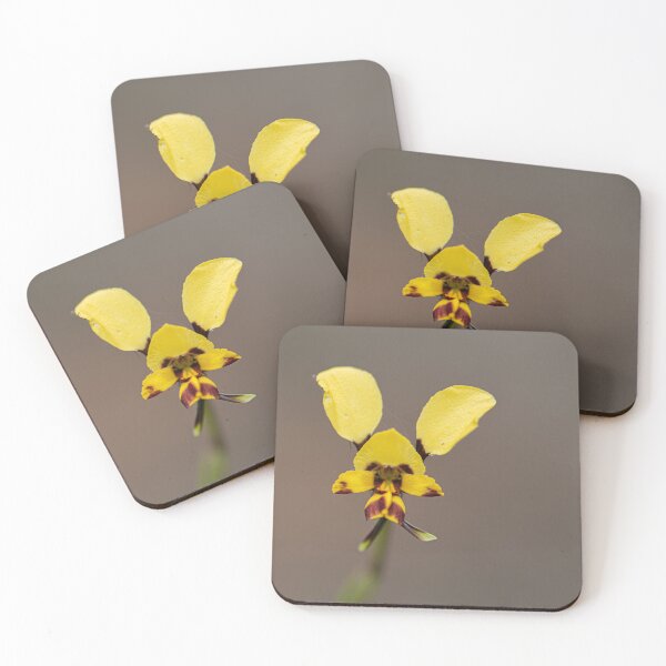 Item preview, Donkey Orchid designed and sold by Alyssa Cronk.