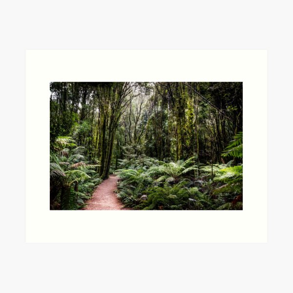 Item preview, Nelson Falls Bush Walk, Tasmania designed and sold by Russell Charters.