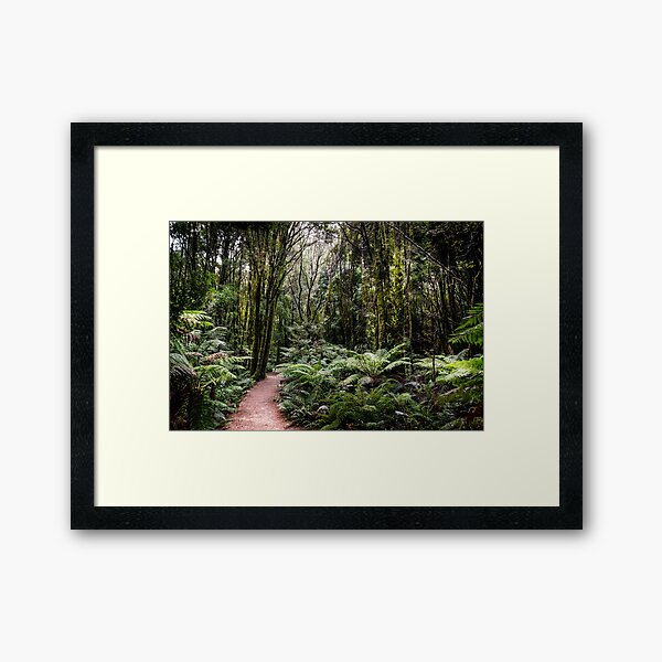 Item preview, Nelson Falls Bush Walk, Tasmania designed and sold by Russell Charters.