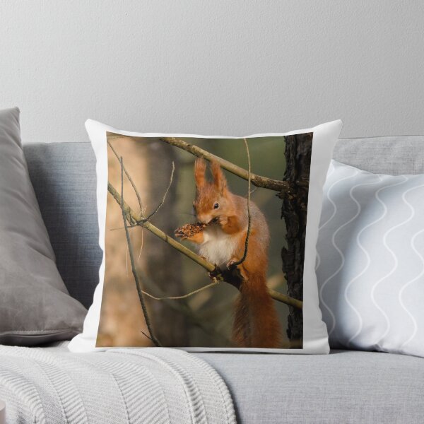 Item preview, Red Squirrel designed and sold by Paul Spear.