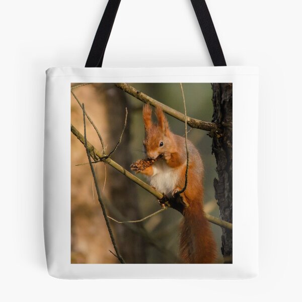 Item preview, Red Squirrel designed and sold by Paul Spear.
