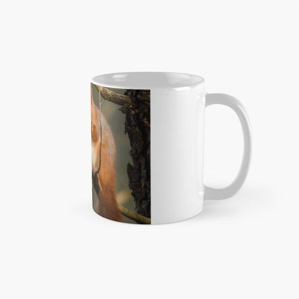 Item preview, Red Squirrel designed and sold by Paul Spear.