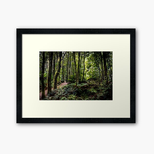 Item preview, Nelson Falls Bush Walk Tasmania designed and sold by Russell Charters.
