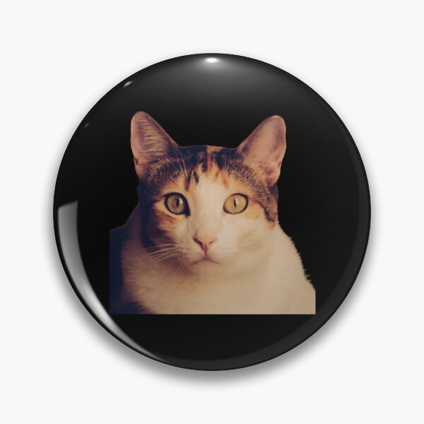 Beluga Cat Discord Meme Pins and Buttons for Sale