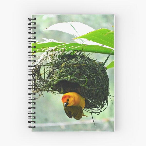 Item preview, Birdy  designed and sold by mnusl.