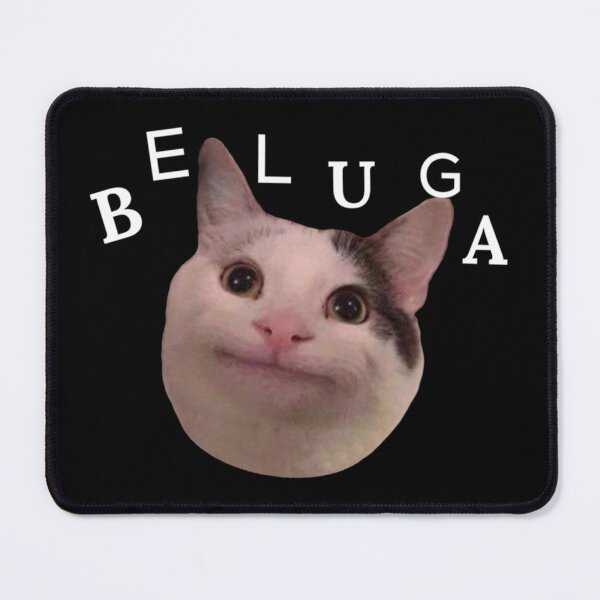 Item preview, Beluga cat discord designed and sold by IzabeAlvin.