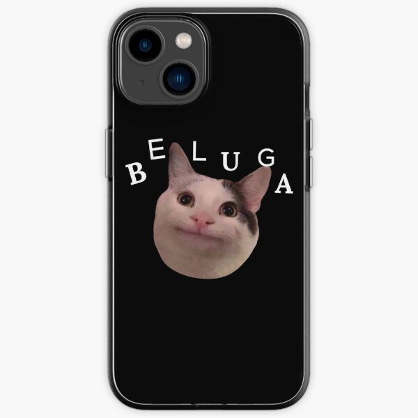 Rumores dizem que o gato beluga, conhecido como polite cat, ou