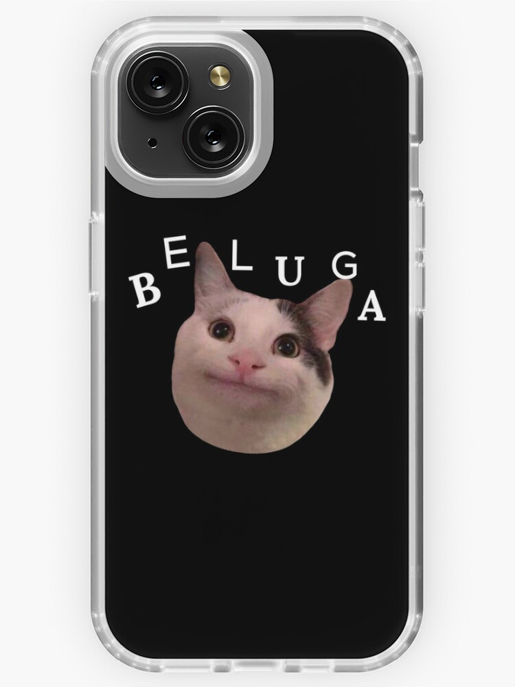 Beluga cat discord