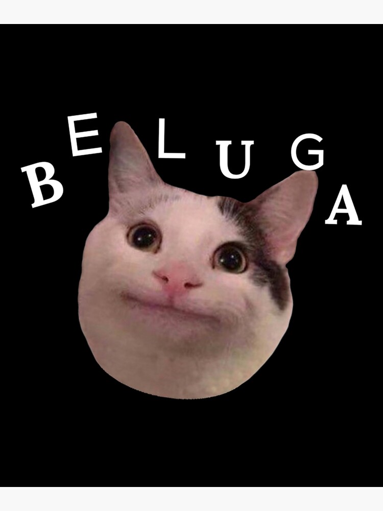 beluga cat discord pfp  Mounted Print for Sale by Liamandlore