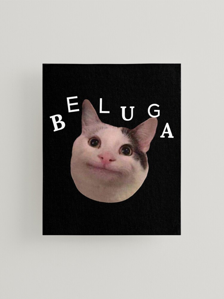 beluga cat discord pfp | Photographic Print