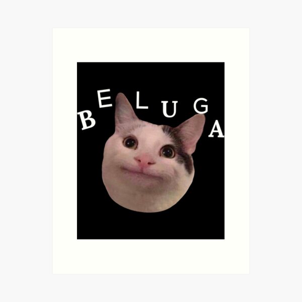 beluga cat discord pfp | Art Board Print